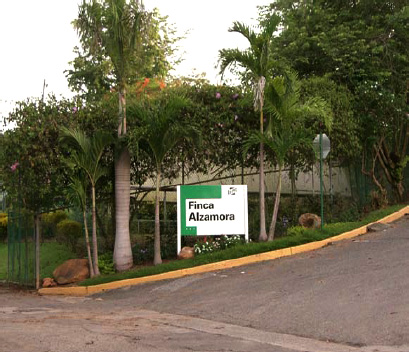 El Recinto Universitario de Mayagüez (RUM) recibió una subvención de parte del Departamento de Agricultura Federal (USDA) y su Instituto Nacional de Alimentos y Agricultura (NIFA), con el fin de instalar un sistema de placas solares en el Edificio Doctoral de la Finca Alzamora que, entre otros objetivos, funciona como laboratorio principal de los estudiantes del Colegio de Ciencias Agrícolas.