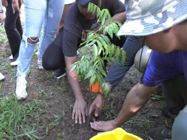 Grupo de estudiantes Colegio de Ciencias Agrícolas plantaron un árbol. Fotocaptura Alexander Machado Martínez Grupo de estudiantes Colegio de Ciencias Agrícolas plantaron un árbol. Fotocaptura Alexander Machado Martínez