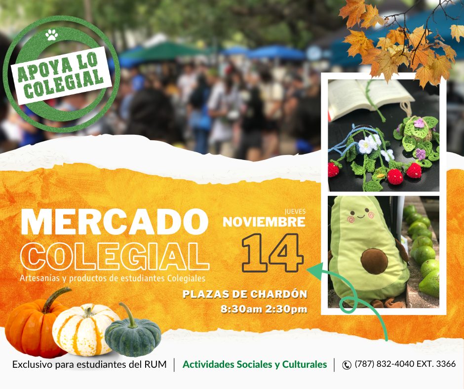 Mercado Colegial del 14 de noviembre de 2024