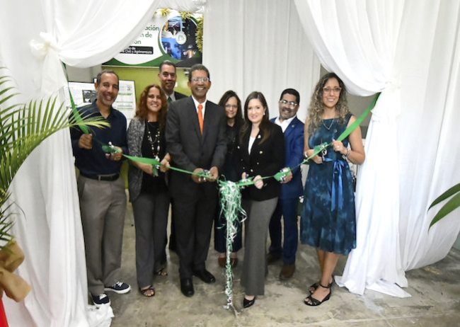 Screen Shot 2024-12-13 at 3.33.05 PM