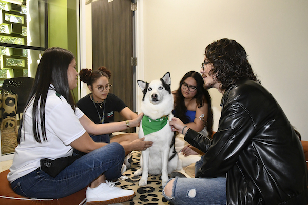 Portada Al centro sentada, Juliana, la perrita husky siberiana certificada como animal de apoyo emocional, rodeada de estudiantes sentados en el piso.