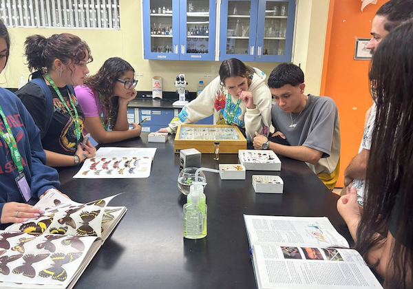 Grupo de estudiantes participantes del campamento de Artes y Ciencias del RUM, en una mesa de laboratorio observando muestras y libros de insectos.