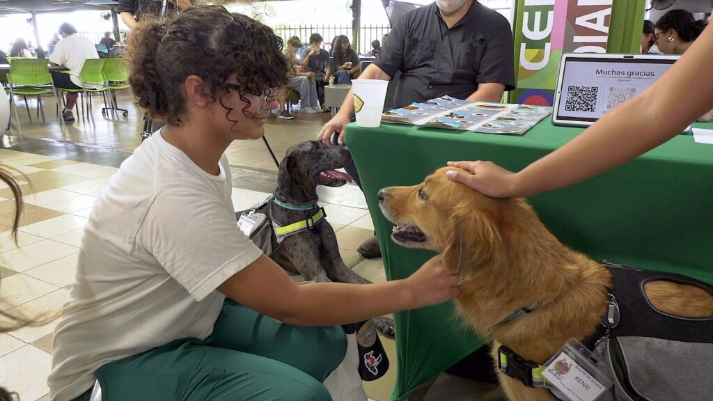 La jornada educativa e interactiva que promovió el conocimiento sobre las Intervenciones Asistidas por Animales (IAA) y sus beneficios en contextos terapéuticos, educativos y recreativos. Foto captura Prensa RUM