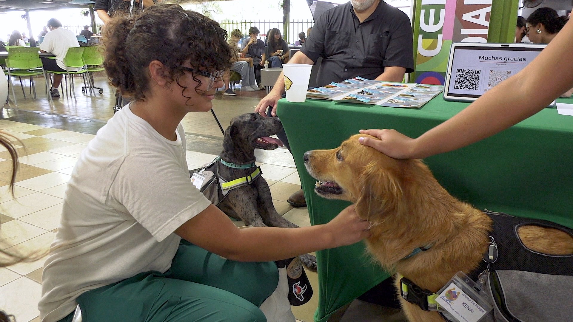 La jornada educativa e interactiva que promovió el conocimiento sobre las Intervenciones Asistidas por Animales (IAA) y sus beneficios en contextos terapéuticos, educativos y recreativos. Foto captura Prensa RUM