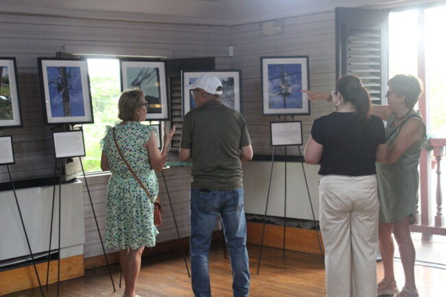 Portada Grupo de personas observan las fotos de la exposición colocadas en trípodes.