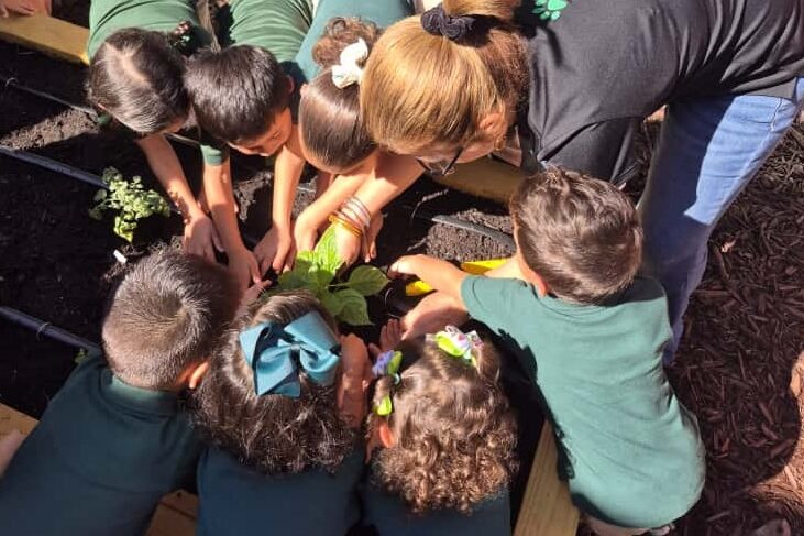 Este huerto se integra al modelo educativo del Preescolar como un recurso que facilita el aprendizaje activo y el desarrollo de destrezas fundamentales. Suministrada