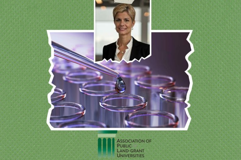 Haiti Modern Sunset On The Beach Photo Collage (1)