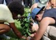 El evento de la siembra del árbol es uno emblemático que se realiza junto a los estudiantes de nuevo ingreso. Foto suministrada