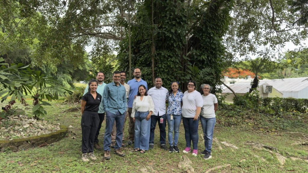 El proyecto es dirigido por el doctor Gustavo A. Martínez Rodríguez, investigador de la Estación Experimental Agrícola (EEA) en Río Piedras, adscrita el Colegio de Ciencias Agrícolas del RUM, junto con la doctora Liz M. Díaz Vázquez, catedrática del Departamento de Química del Recinto de Río Piedras. Asimismo, cuenta con la colaboración del doctor Luis C. Bermúdez Morales y de Mildred Rivera Isaac, analista senior del Materials Characterization Center, quienes aportan experiencia especializada en análisis instrumental, caracterización química y aseguramiento de calidad. Suministrada