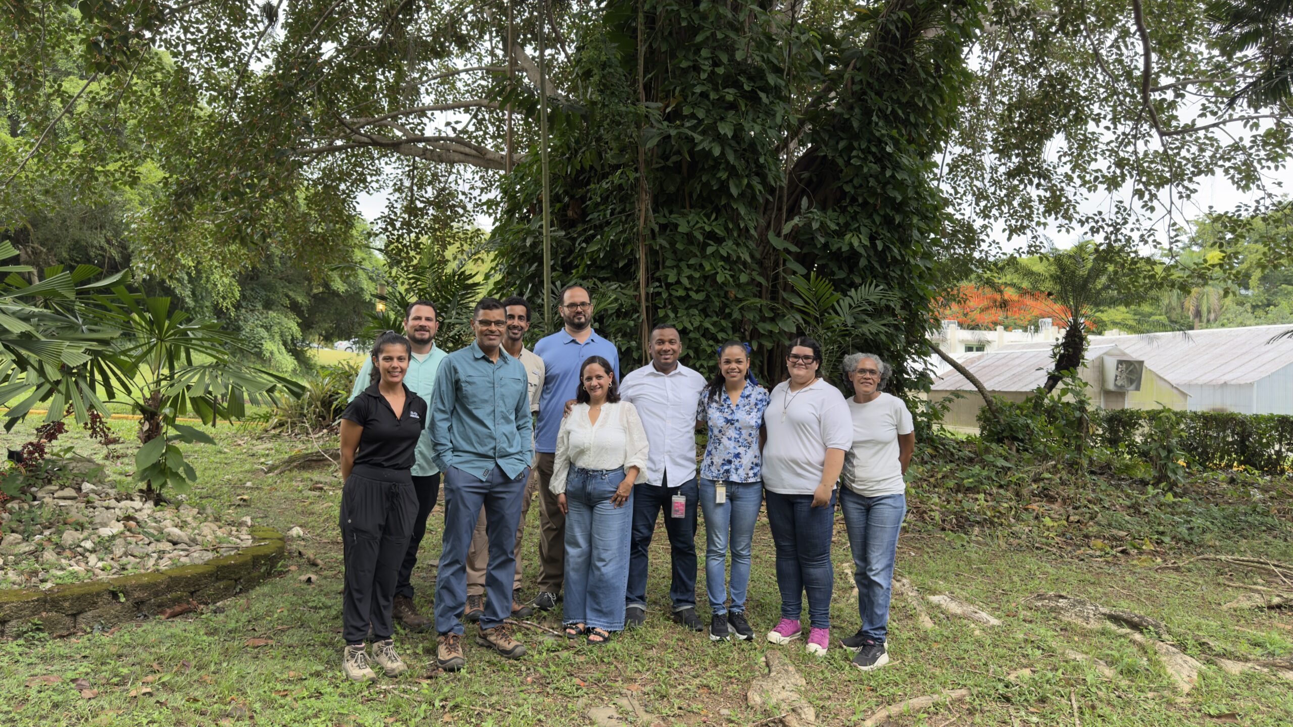El proyecto es dirigido por el doctor Gustavo A. Martínez Rodríguez, investigador de la Estación Experimental Agrícola (EEA) en Río Piedras, adscrita el Colegio de Ciencias Agrícolas del RUM, junto con la doctora Liz M. Díaz Vázquez, catedrática del Departamento de Química del Recinto de Río Piedras. Asimismo, cuenta con la colaboración del doctor Luis C. Bermúdez Morales y de Mildred Rivera Isaac, analista senior del Materials Characterization Center, quienes aportan experiencia especializada en análisis instrumental, caracterización química y aseguramiento de calidad. Suministrada El proyecto es dirigido por el doctor Gustavo A. Martínez Rodríguez, investigador de la Estación Experimental Agrícola (EEA) en Río Piedras, adscrita el Colegio de Ciencias Agrícolas del RUM, junto con la doctora Liz M. Díaz Vázquez, catedrática del Departamento de Química del Recinto de Río Piedras. Asimismo, cuenta con la colaboración del doctor Luis C. Bermúdez Morales y de Mildred Rivera Isaac, analista senior del Materials Characterization Center, quienes aportan experiencia especializada en análisis instrumental, caracterización química y aseguramiento de calidad. Suministrada