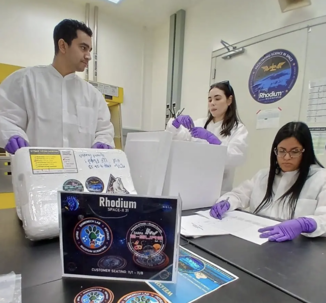 En el laboratorio del Centro Espacial Kennedy, el 3 de noviembre de 2024, se prepararon las muestras junto con el equipo de Rhodium Scientific para su traslado a bordo del SPX-CRS 31. Desde la izquierda, los estudiantes doctorales de bioingeniería, Leonel Velez, Carolina Rivera, y la doctora Maribella Domenech del Departamento de Ingeniería Química. Suministrada