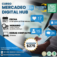 Curso Mercadeo Digital (HUB)