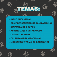 Curso Comportamiento Organizacional - Image 2