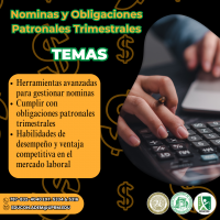 Curso Nóminas y Obligaciones Patronales Trimestrales - Image 2