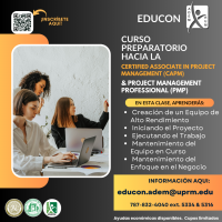 Curso Preparatorio hacia la Certified Associate in Project Management (CAPM) y Project Management Professional (PMP) - Image 2