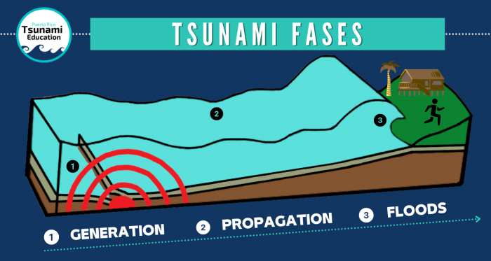 how tsunamis form