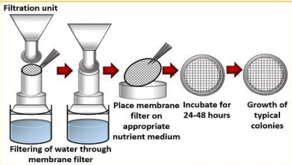 RAPID, PORTABLE AND LOW-COST WATER QUALITY DEVICE USING ARTIFICIAL INTELLIGENCE