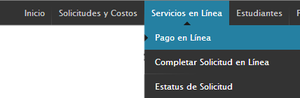 Pagar en Linea