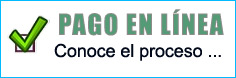 Conoce el proceso de pago en línea