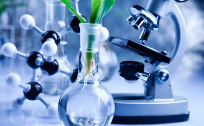 bioeng2