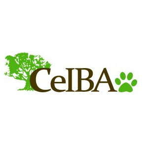 ceiba icon