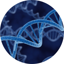 DNA icon