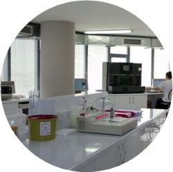 Laboratory Image