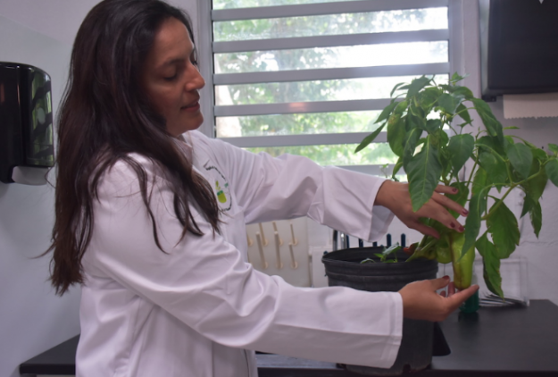 Laboratorio de Fitopatología