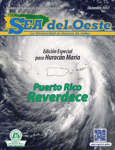 SEA del Oeste Vol 4 2017