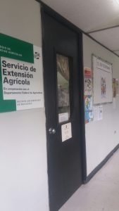 utuado utuado