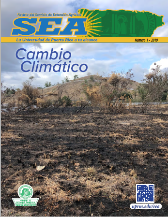 Revista del SEA Vol.1 2019