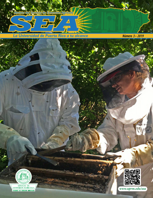 Revista del SEA Vol.3 2019
