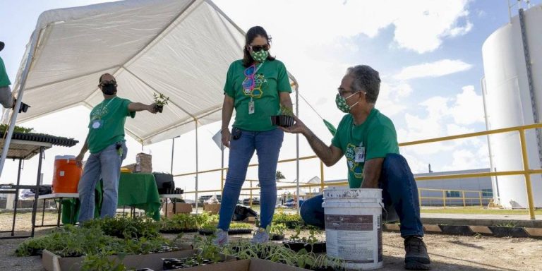 certificados4h08-36e0ae0ceb55da6e01061834230afc14-1200×600