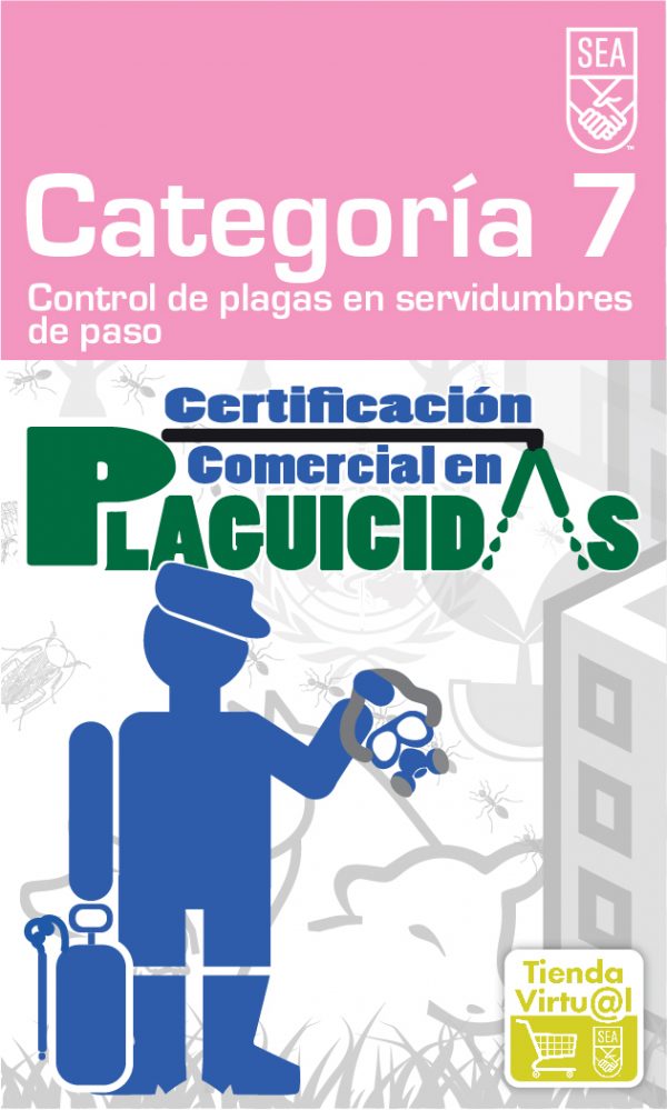 Categoría 7-(Presencial) 8 noviembre 2024