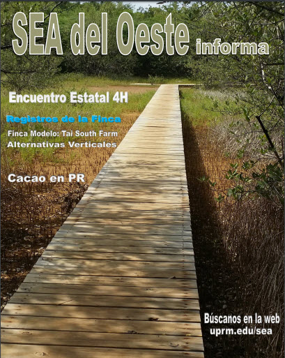Revista del SEA Vol.4 2015