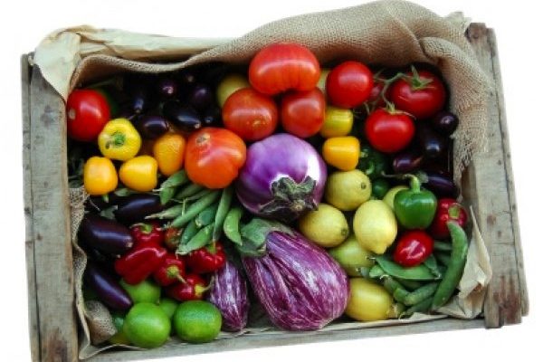 SEA se une al Día de la Alimentación