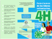 Funciones de los líderes voluntarios