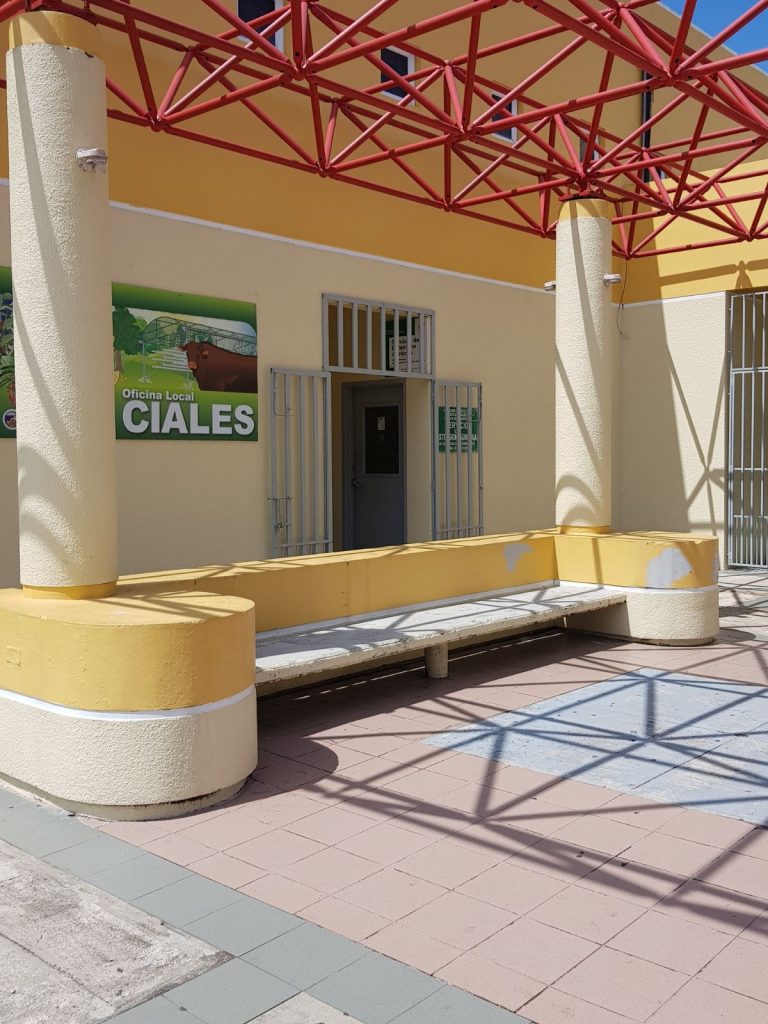 local d ciales