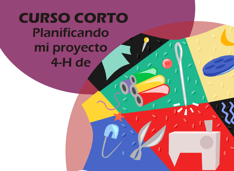 Curso corto de costura 4h