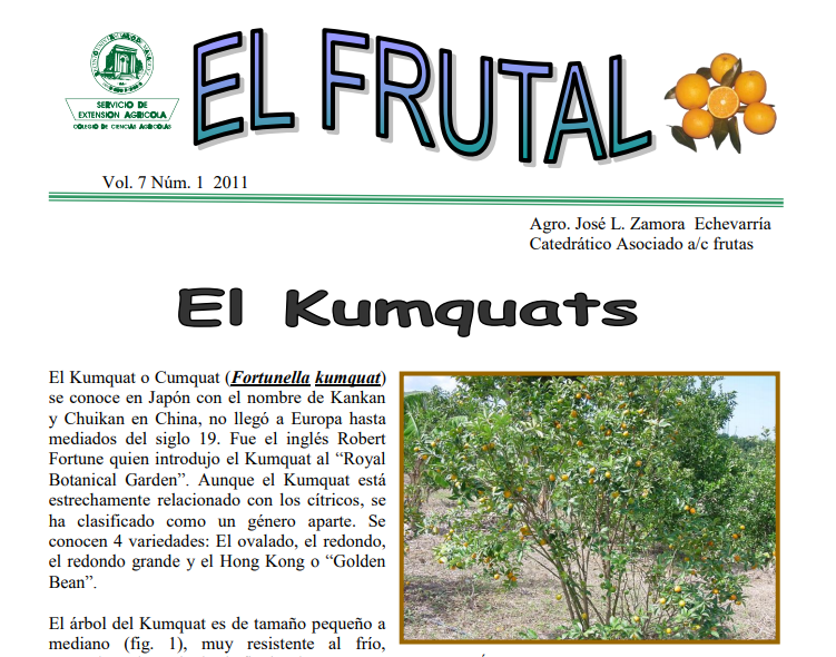 El Kumquats