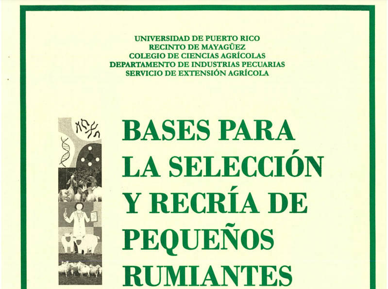 Pequeños Rumiantes