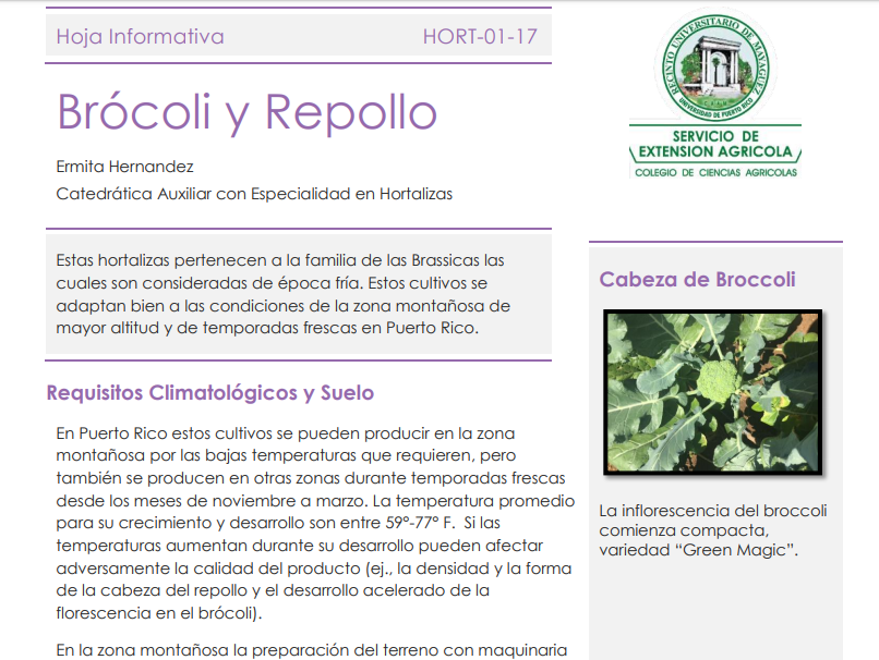 Hoja informativa de brocoli y repollo