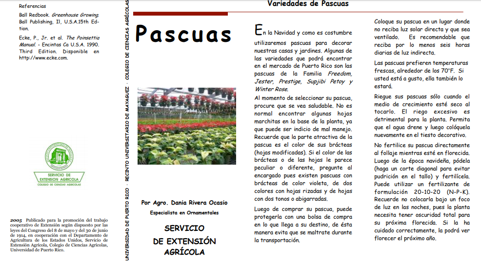 Pascuas variedades