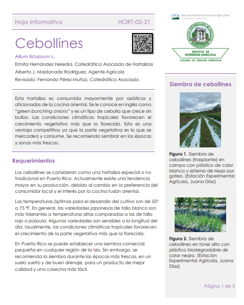 Hoja Informativa Cebollines