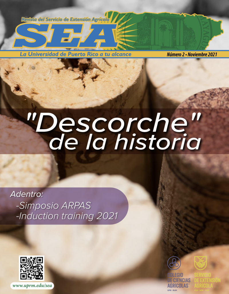 Revista del SEA Vol. 2 Nov 2021