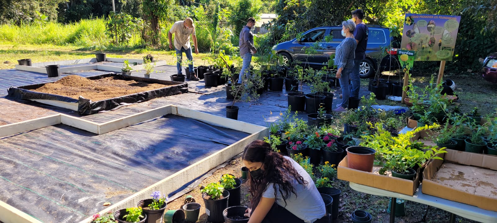 Preparando el jardin de polinizadores