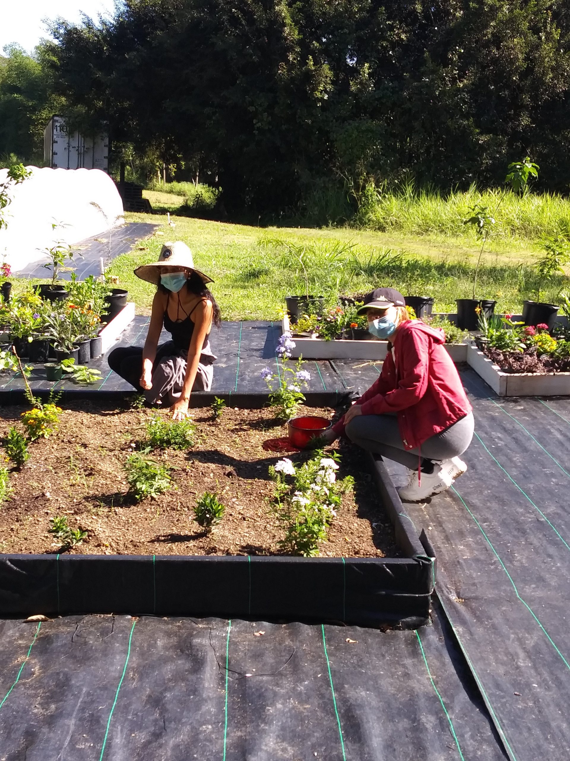 Estudiantes Paola Ronda y Andrea Munoz en Jardin Polinizadores Finca Alzamora RUM