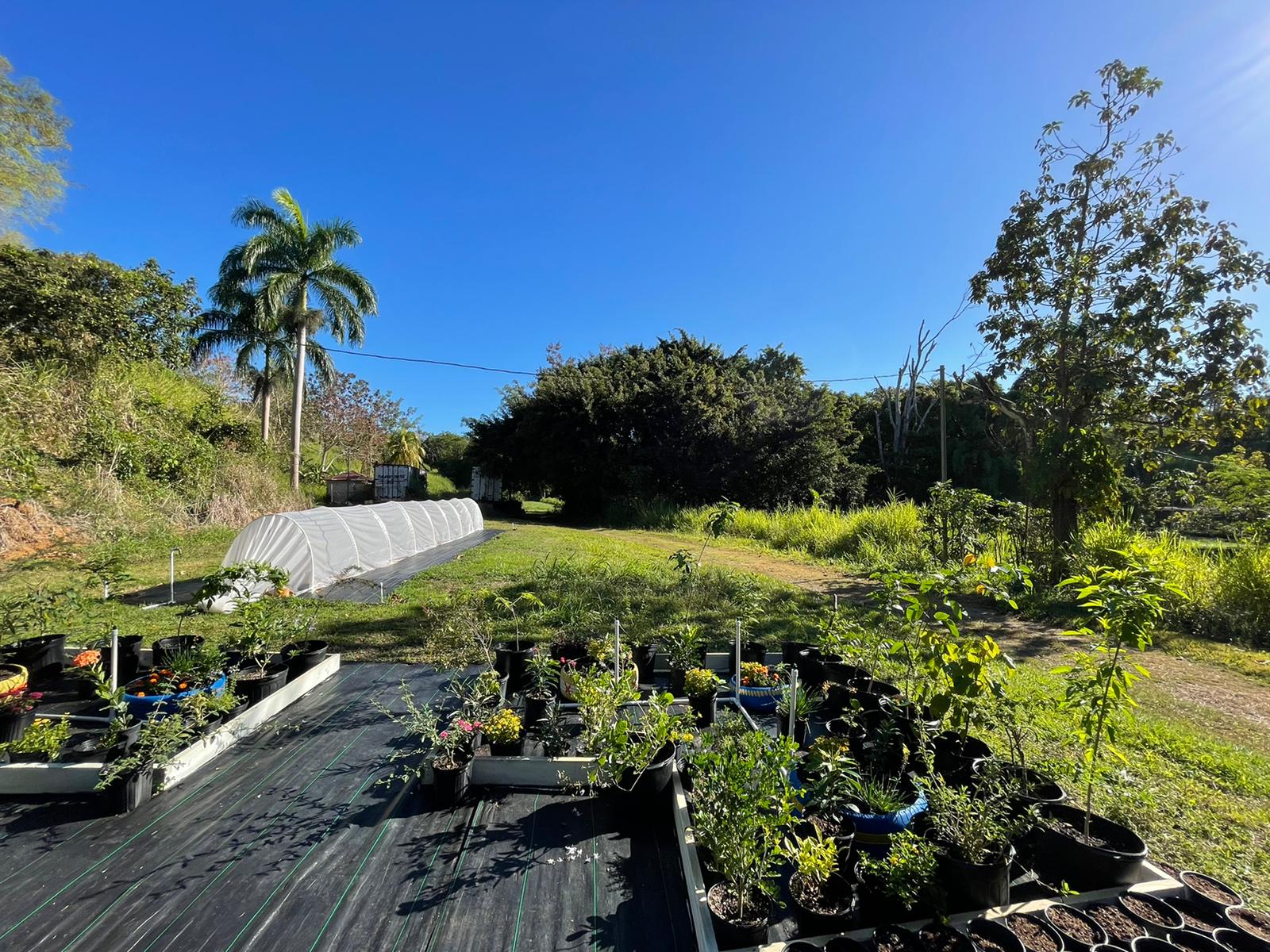 Jardin Polinizadores Finca Alzamora