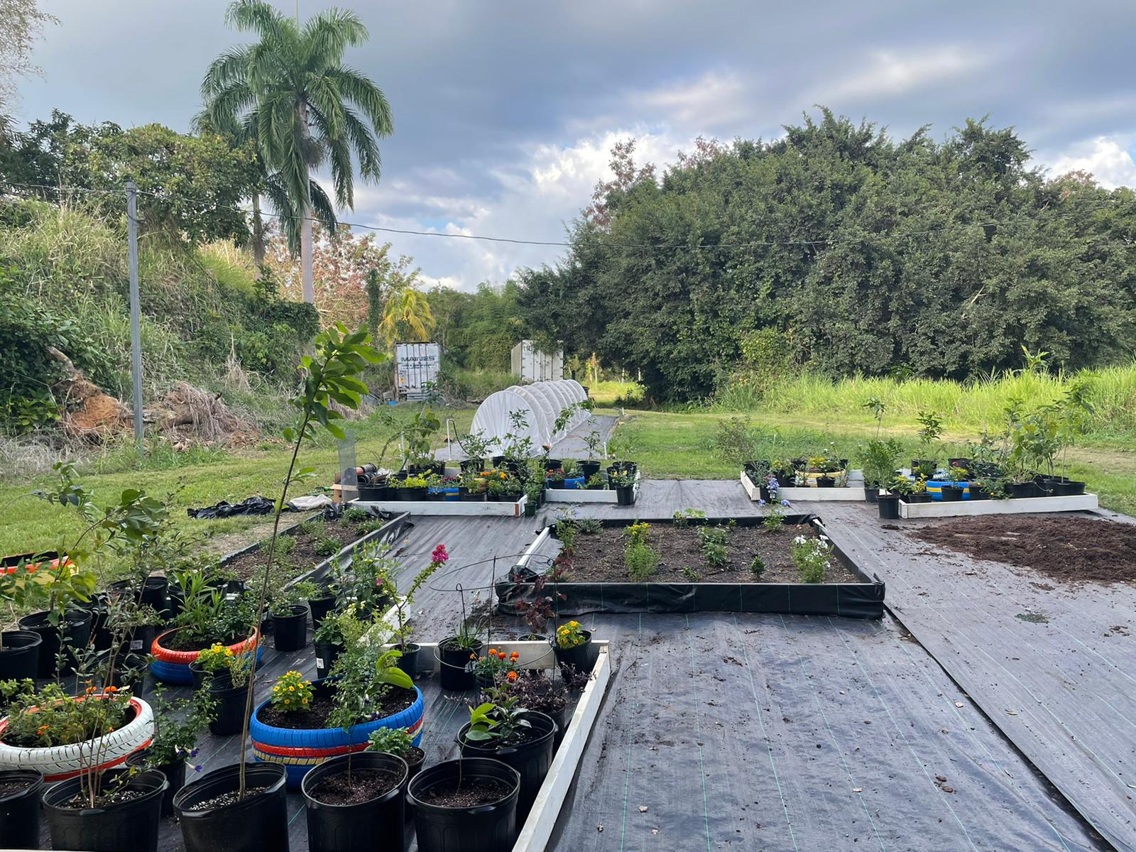 Proceso Jardin Polinizadores