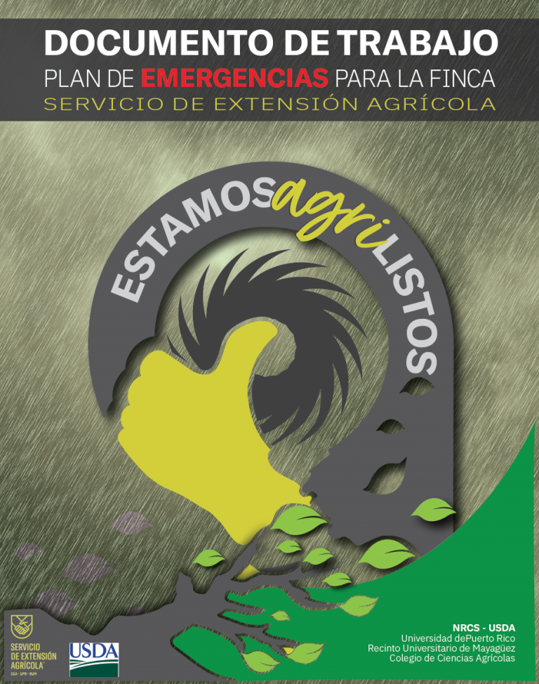 Documento de Trabajo